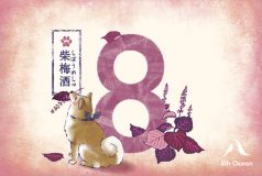 柴梅酒